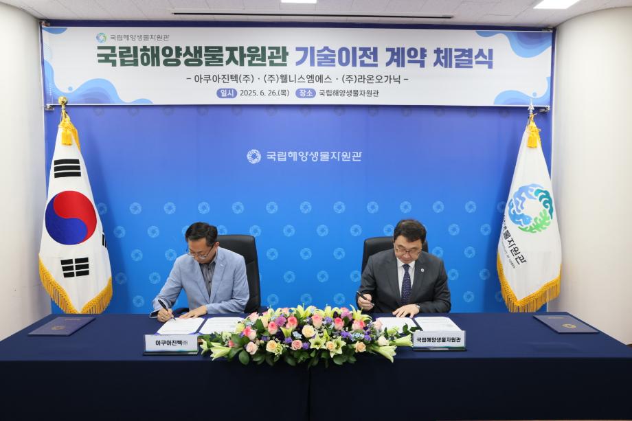 P20250627_001148630_F4CB0EFF-2B3D-445F-825D-E0CACBFAB0D6 이미지