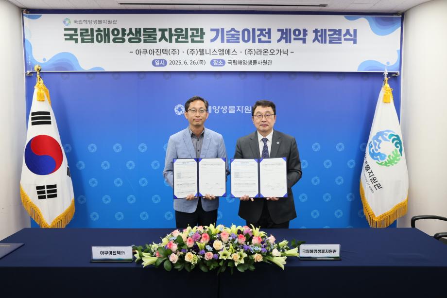 P20250627_001306860_DDF0E6E9-41AA-40B2-B6A2-44852ED42FEE 이미지
