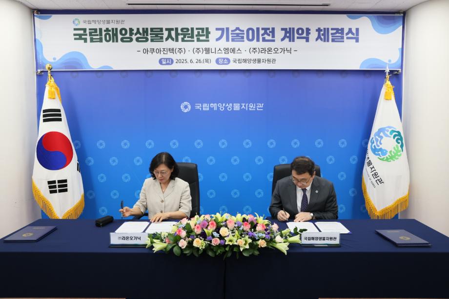P20250627_001348520_9781ACB7-9BE4-44CF-A8AB-877C46B36401 이미지