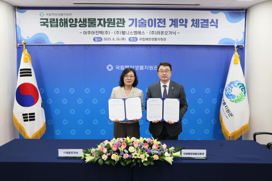 P20250627_001510830_04F7077E-B904-4A20-8483-57FB5D1CAD2A 이미지