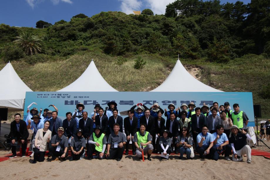 2025년 바다거북 자연방류 행사 이미지