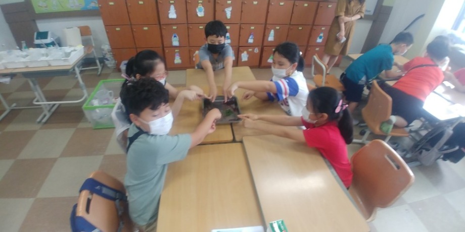 7월 31일 (금) 경포초등학교3-1_해조류표본교실 이미지
