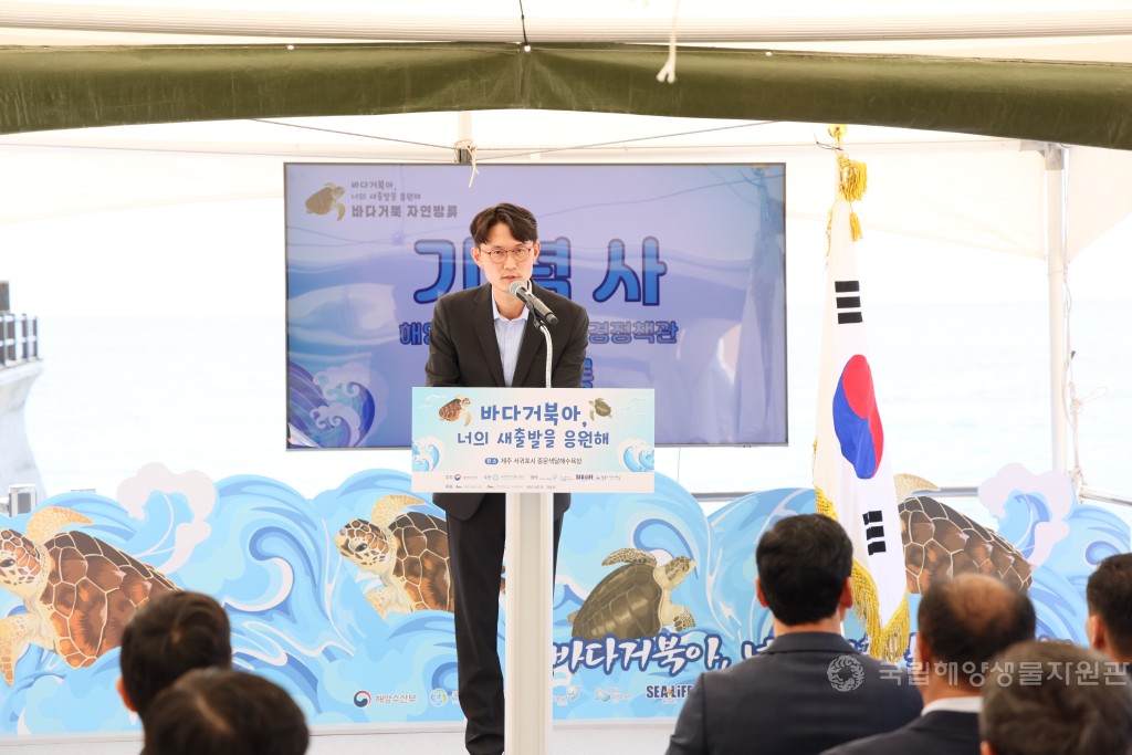 2025년 바다거북 자연방류 행사