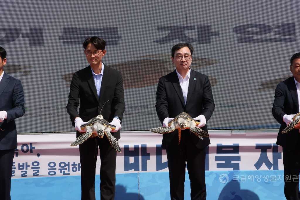2025년 바다거북 자연방류 행사