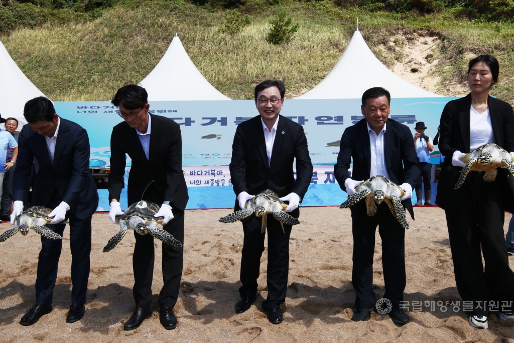 2025년 바다거북 자연방류 행사