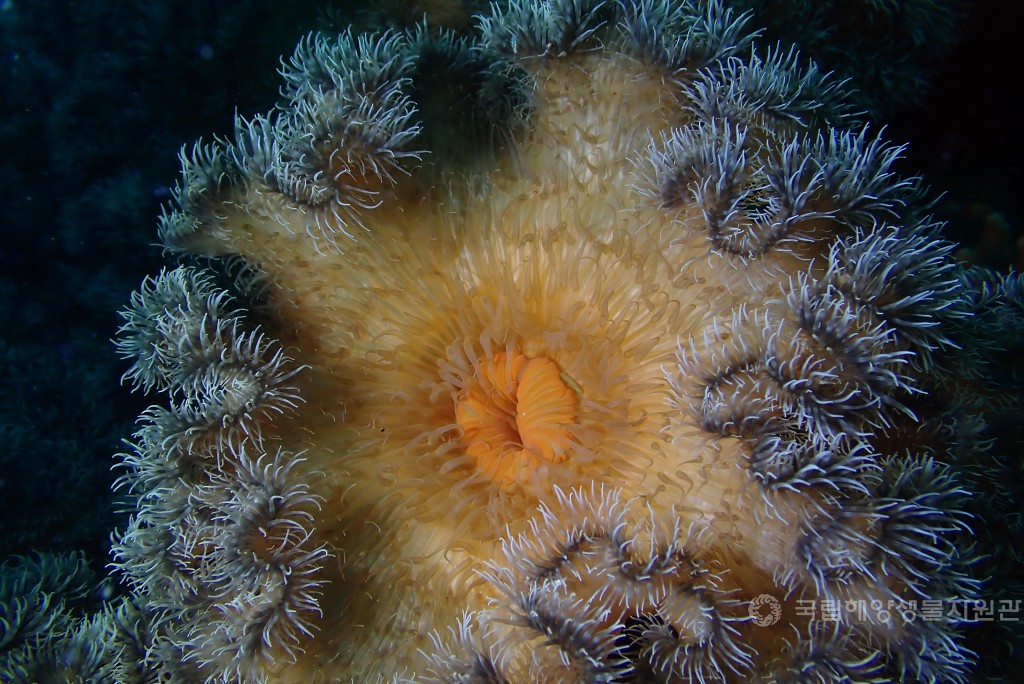 장려상 이은학_개화