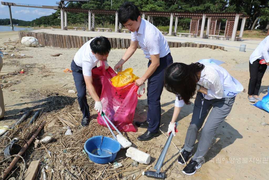 국제 연안정화의 날 기념_해양 정화활동