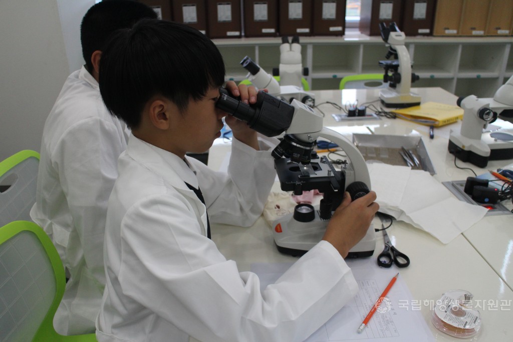 겨울방학 교육프로그램 안내 홍보사진