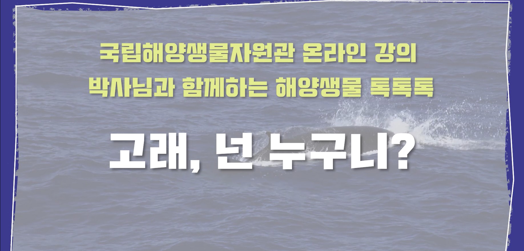 [박사님과 함께하는 해양생물 톡톡톡] 1- 고래, 넌 누구니?