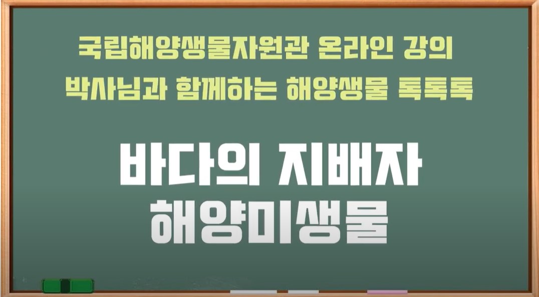 [박사님과 함께하는 해양생물 톡톡톡] 2 - 바다의 지배자 해양미생물