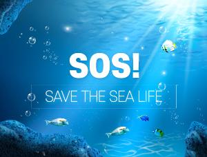 SOS! 바다생물을 구해줘 교육 프로그램 이미지