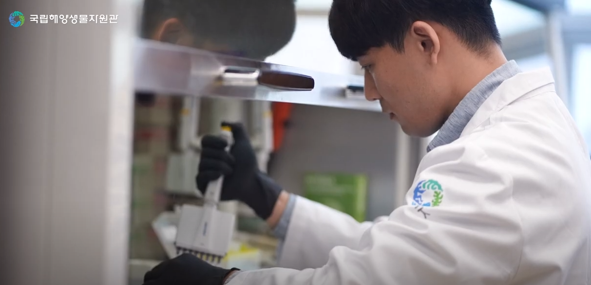 <h2><strong>기술개발, 제품화, 기술사업화를 위해, 10일까지 참여기업 신청 받아 -</strong></h2>

<p> </p>

<p>국립해양생물자원관(관장 최완현)은 해양바이오소재의 활용과 산업화 촉진을 위한 ‘2023년 국립해양생물자원관-기업</p>

<p>공동연구 사업’을 본격적으로 추진한다고 1일(수) 밝혔다.</p>

<p> </p>

<p>국내 해양바이오산업은 최근 꾸준한 성장세를 보이며 상업적 잠재력이 매우 높은 것으로 알려지고 있다. 국내 해양바이오</p>

<p>기업의 매출규모는 2019년 6,153억원에서 2020년 6,405억원으로 증가하는 등 최근 5년간 연평균 약 6.0%의 꾸준한</p>

<p>성장세*를 보이고 있다. 특히 코로나19 확산과 바이오경제 시대의 도래와 함께 국내 해양바이오 산업도 빠르게 성장할</p>

<p>것으로 예측되며 해양바이오 산업이 새로운 국가성장동력으로 자리매김 될 것으로 기대된다.</p>

<p>* 매출액 : (‘16) 4,787억 원 → (‘18) 5,437억 원 → (‘19) 6,153억 원 → (‘20) 6,405억 원</p>

<p> </p>

<p>이에 국립해양생물자원관은 해양바이오산업의 육성과 지원을 위해 해양바이오뱅크*를 운영하고, 산학연 정보교류를 하는 등</p>

<p>다양한 노력을 기울이고 있으며, 이번 기업공동연구의 추진 또한 해양바이오소재의 산업화 지원을 위한 사업의 일환이다.</p>

<p>* 해양바이오뱅크는 해양생명자원 확보에 어려움을 겪는 기업 등을 대상으로 추출물, 유전자원, 미생물, 미세조류자원을</p>

<p>온·오프라인으로 무료 분양하고 있으며, 자원들이 보유하고 있는 기초효능(항산화, 항염증, 항균 등) 정보도 함께 제공하고</p>

<p>있다.</p>

<p> </p>

<p>국립해양생물자원관은 해양바이오뱅크 사업 등을 통해 해양바이오 소재의 발굴과 활용 연구, 기술사업화를 추진하고</p>

<p>있으며, 이번 사업은 지난해 추진한 시범 공동연구사업*의 후속 시범사업으로 추진된다. 사업의 목표는 기업연계형</p>

<p>실증연구를 기반으로 소재의 상용화 기술개발, 제품화, 기술 사업화 등이다.</p>

<p> </p>

<p>*‘카로테노이드를 생산하는 국산 해양미세조류의 체지방감소 원료소재 개발’사업으로 친환경 미세조류 원료생산 기업인 </p>

<p>㈜마이크로알지 에스크 어스가 공동참여하여 약 2년 6개월 간 추진하는 공동연구 사업임</p>

<p> </p>

<p>그동안 해양바이오소재의 산업화의 어려움으로 임상정보 부족, 대량생산의 어려움 등이 제기되어 왔으며, 이는 관련기업의</p>

<p>해양바이오시장 진입의 걸림돌이 되어왔다. 기업공동연구는 이러한 기업의 애로사항을 해소하고 해양바이오소재의</p>

<p>산업화 촉진에 기여할 것으로 기대된다.</p>

<p> </p>

<p>2023년 사업은 총 3개 분야(유전자원, 천연물, 미생물)에 대해 지정공모 방식으로 추진되며, 공동연구 제안요청서(RFP)에</p>

<p>따라 사업 수행이 가능한 기업은 참여제안서 제출(온라인)을 통해 자유롭게 신청할 수 있다.</p>

<p> </p>

<p>신청 기간은 2월 10일(금)까지이며, 국립해양생물자원관(<a href="http://www.mabik.re.kr)/"><u>www.mabik.re.kr)</u></a>과 해양수산과학기술진흥원(<u> <a href="http://www.kimst.re.kr)/">www.kimst.re.kr)</a></u> 및<br />
국가과학기술지식정보서비스(NTIS)(<a href="http://www.mabik.re.kr)/"><u>www.ntis.go.kr)</u></a>에서 자세한 내용을 확인할 수 있다.</p>

<p> </p>

<p>김형준 국가해양생명자원전략센터장은 “기업과의 공동연구는 해양 바이오산업 활성화를 위한 중요한 전략이 될 것이며</p>

<p>이번 기업공동연구 사업 추진을 계기로 기업의 해양바이오시장 진입을 확대하고, 해양바이오소재의 산업화를 적극적으로</p>

<p>지원하겠다.”라고 밝혔다.</p>

<p> </p>