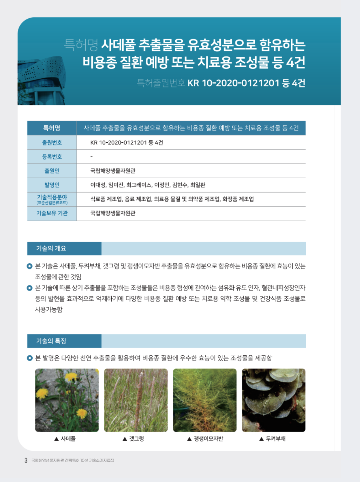 사데풀 추출물을 유효성분으로 함유하는 비용종 질환 예방 또는 치료용 조성물 등 4건 대표이미지