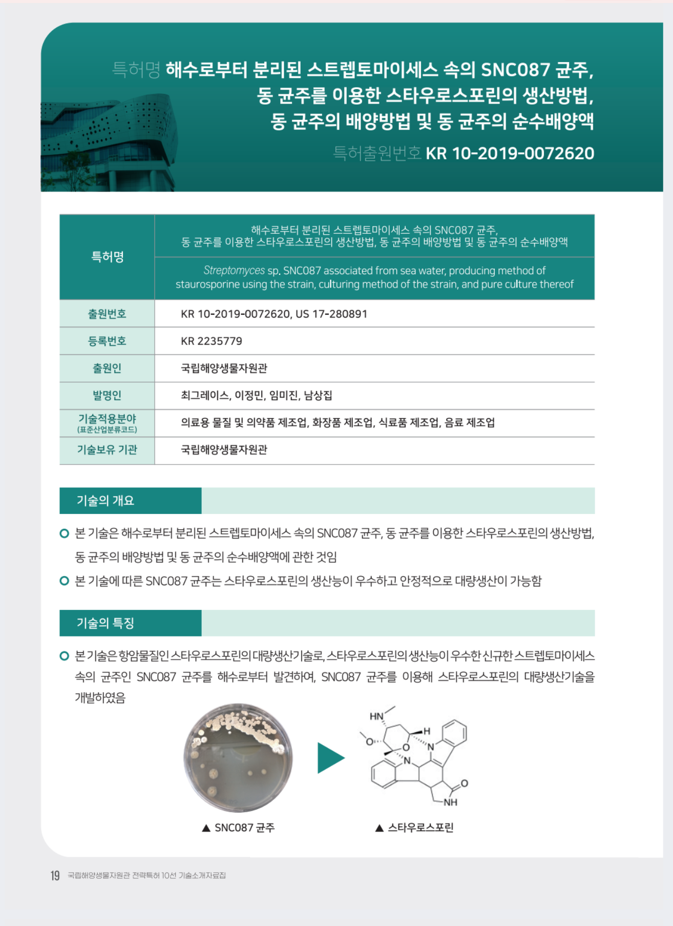 해수로부터 분리된 스트렙토마이세스 속의 SNC087 균주, 동 균주를 이요한 스타우로스포린의 생산방법, 동 균주의 배양방법 및 동 균주의 순수배양액 대표이미지