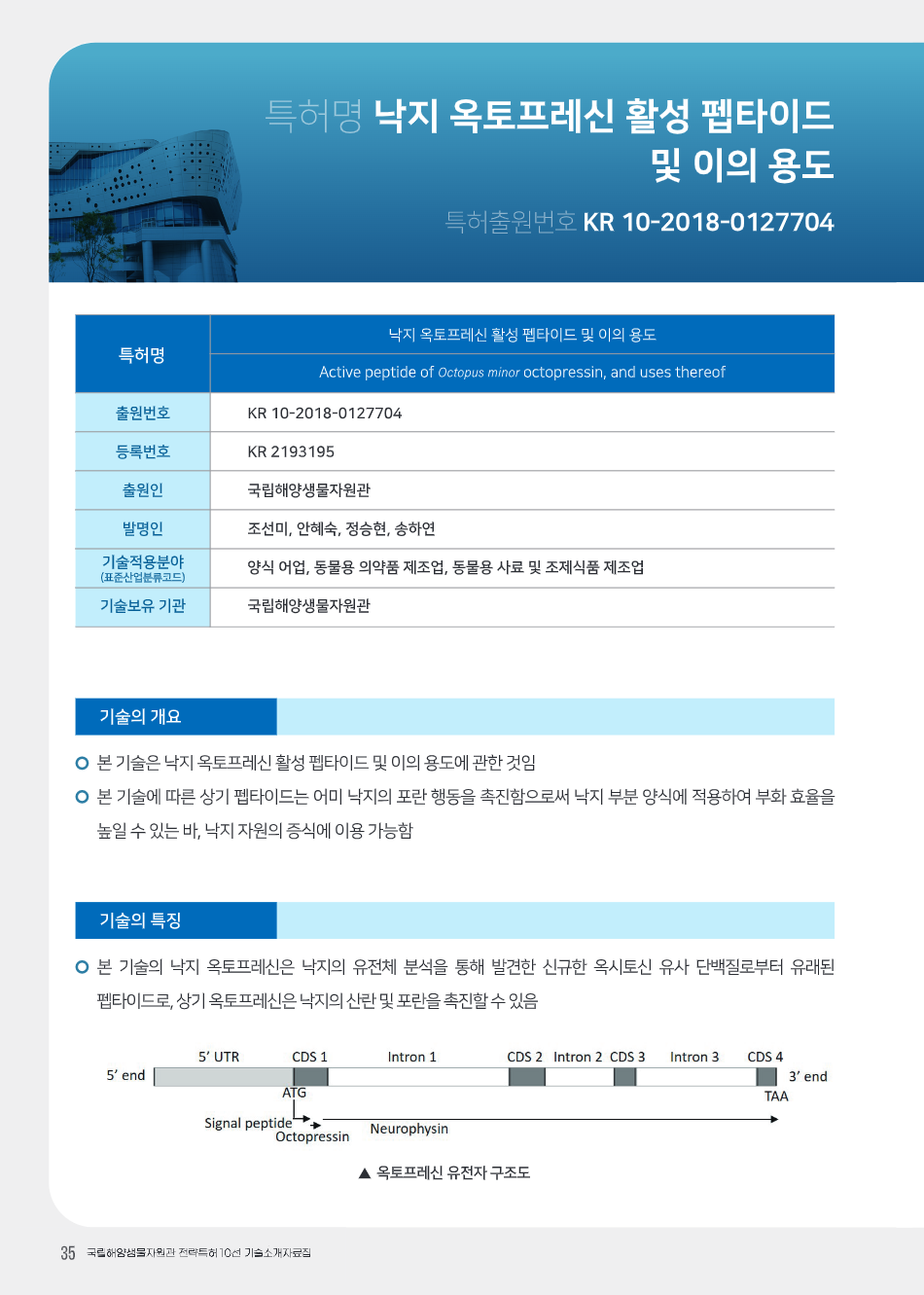 낙지 옥토프레신 활성 펩타이드 및 이의 용도 대표이미지