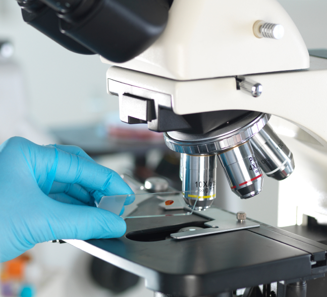 바이오텍의 멀티오믹스 플랫폼으로 정밀의학의 미래상을 시각화하다: CRC 사례 연구 대표 이미지