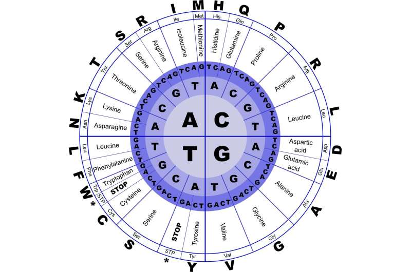 연구자들은 슈퍼컴퓨터를 이용하여 '생명체의 분자'가 적절한 조건에서 자연적으로 형성될 수 있는지 여부를 판단합니다 대표 이미지