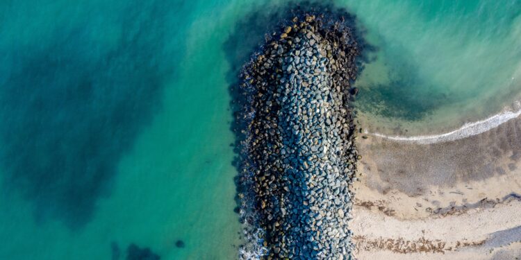 유럽의 블루 바이오 경제가 약속을 지킬 수 있을까요? 대표 이미지
