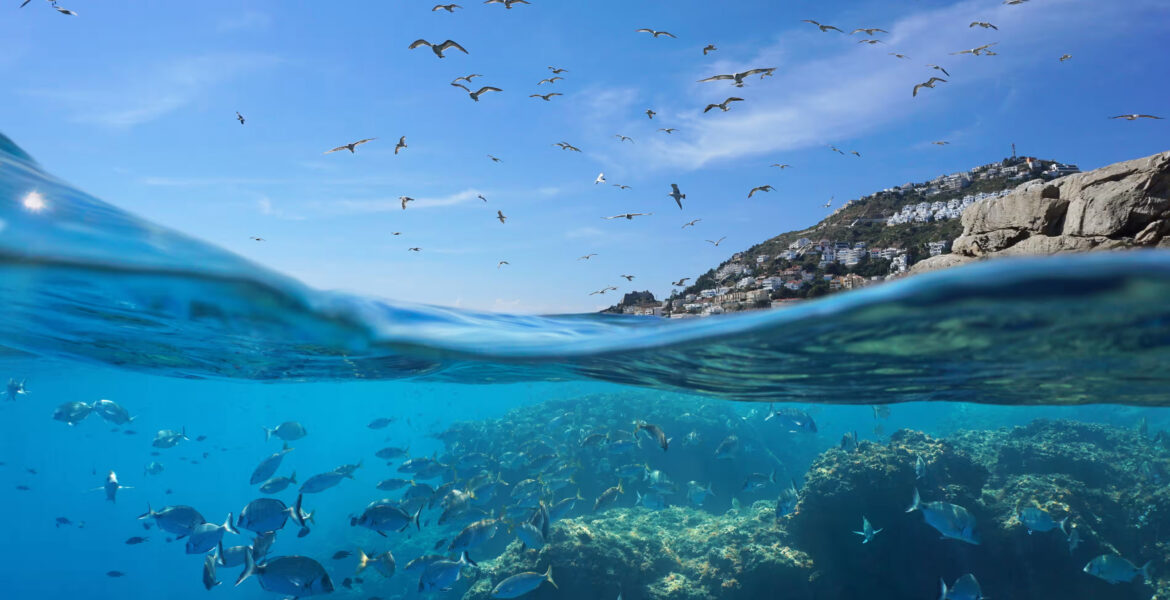 지중해의 푸른 경제를 제패한 그리스 대표 이미지