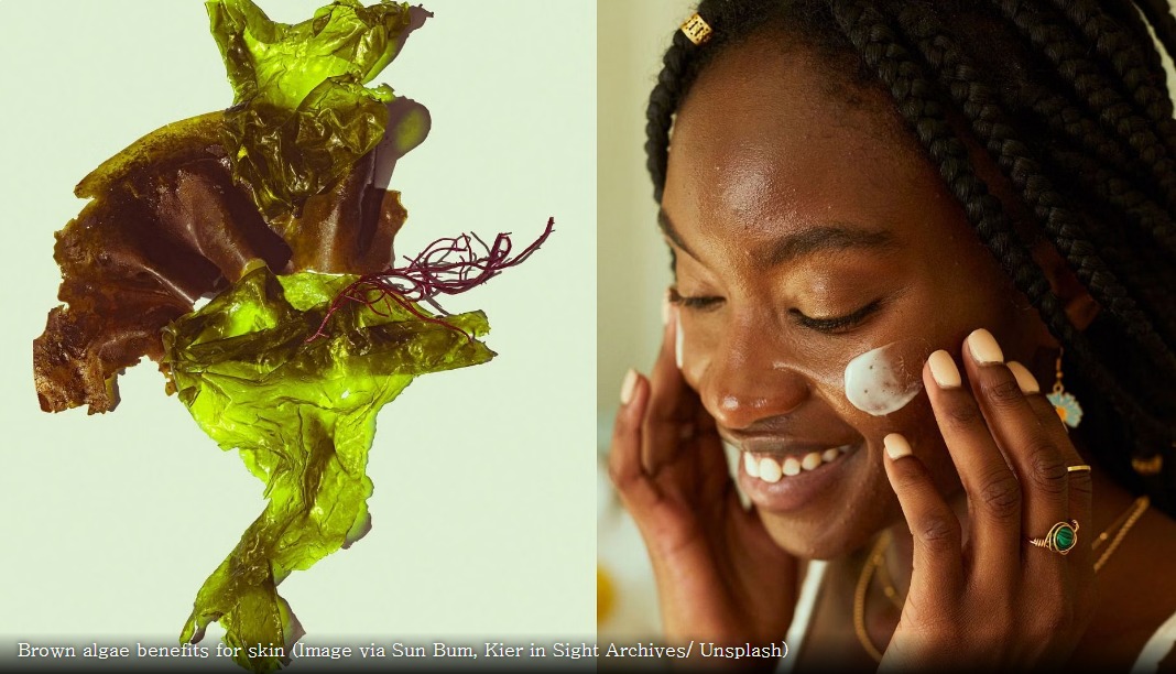탐색된 피부 및 제품에 대한 갈조류 이점 대표 이미지