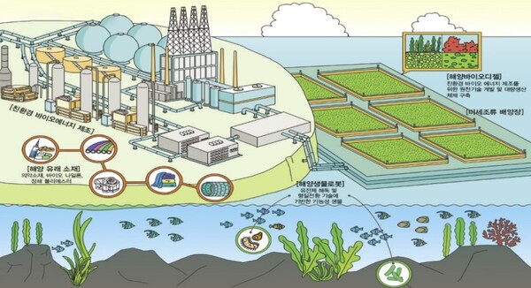 미래 먹거리 해양바이오산업, 경쟁력을 갖추려면? 대표 이미지