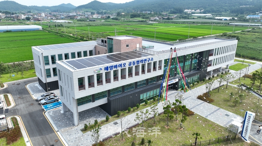 완도군, 해양바이오산업 본격화 ‘공동 협력 연구소 준공’ 대표 이미지