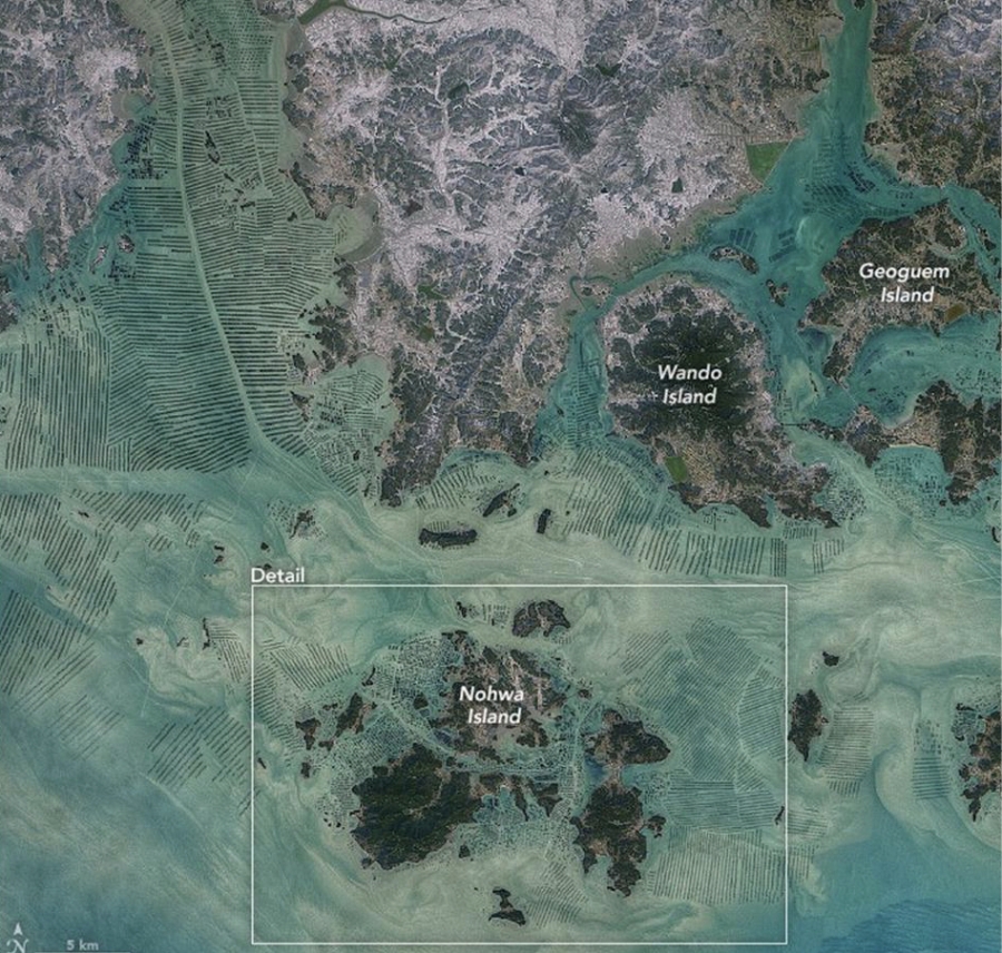 해조류 바이오헬스케어제품 세계 진출 대표 이미지