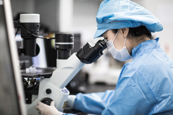 "뒷심 터졌다"…K바이오, 연말 '굵직 기술수출' 잇단 낭보 대표 이미지