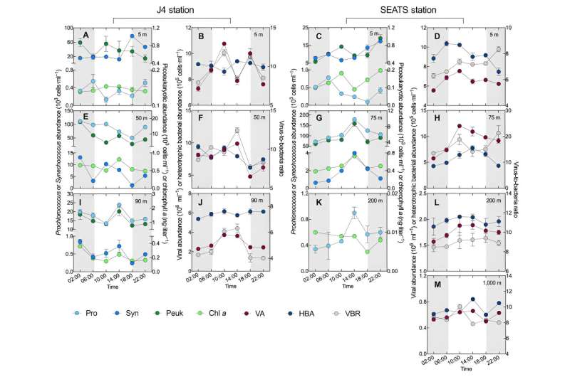 해양박테리오플랑크톤의 딜 역학을 주도하는 중요한 인자로서 바이러스 대표 이미지