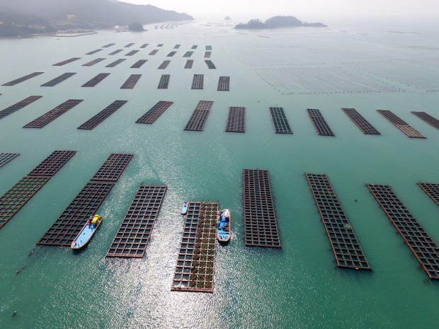 전남 무대로 한미 공동 해양바이오 산업 생태계 육성한다 대표 이미지