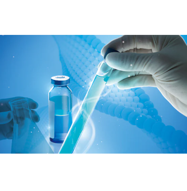 해삼으로 항암 치료…해양추출물 활용도 높아진다 대표 이미지