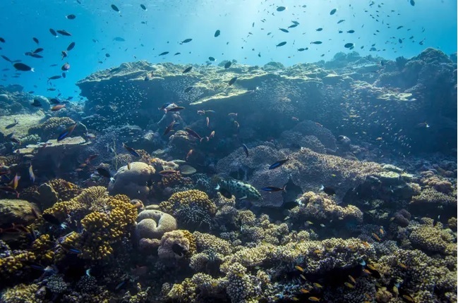 Ocean 14 Capital Fund, 블루 이코노미를 위해 2억 100만 유로 확보 대표 이미지