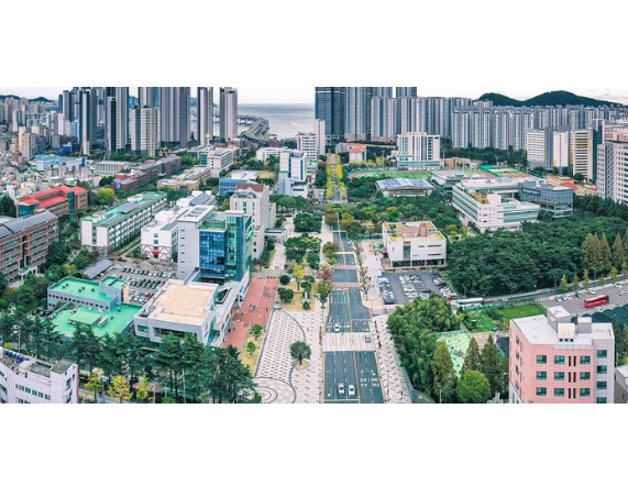 해조류로 만든 소시지 나온다…국립부경대, 정부 사업 선정 대표 이미지