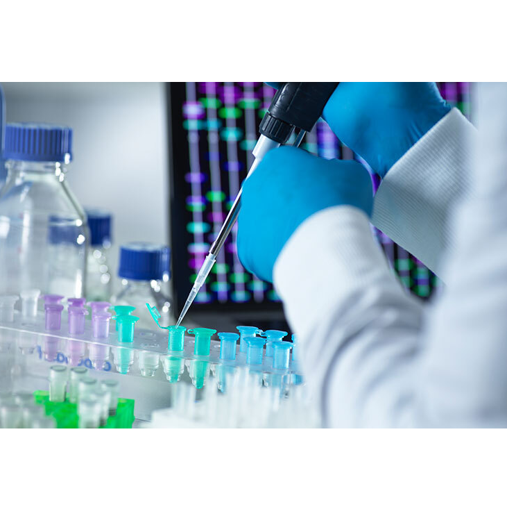 생명 공학의 응용 분야는 무엇입니까? 대표 이미지