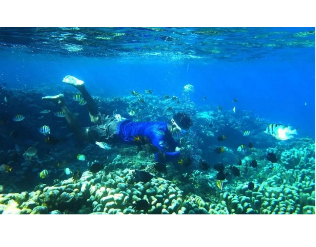 블루 이코노미, 인도네시아의 지속 가능한 성장을 위한 새로운 원천 대표 이미지