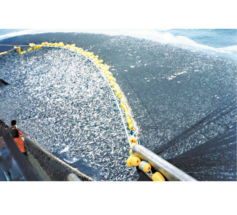 '블루 이코노미(Blue Economy)' 신화: 바다가 기업처럼 운영될 수 있다는 생각을 버려야 한다 대표 이미지