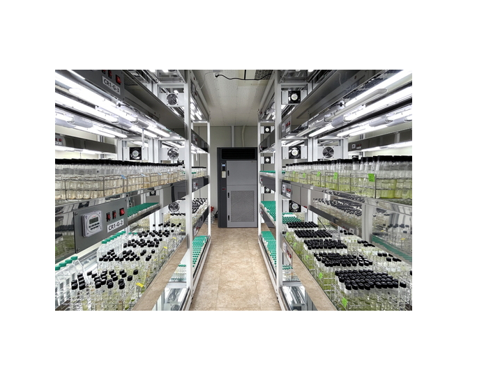 국립부경대, 국내 최초 ‘해양미세조류은행’ 재운영 대표 이미지