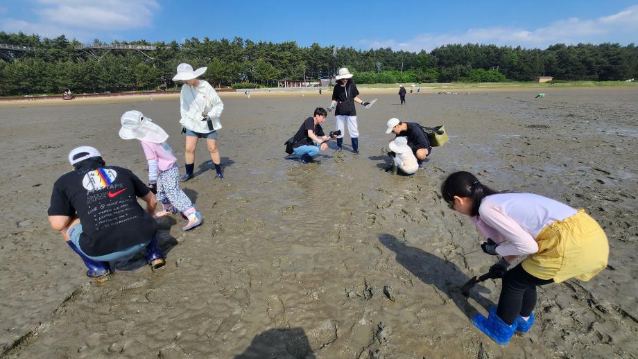 5월23일(토) 세계자연유산을 찾아서, 서천갯벌 우리가족 바다실험실 이미지