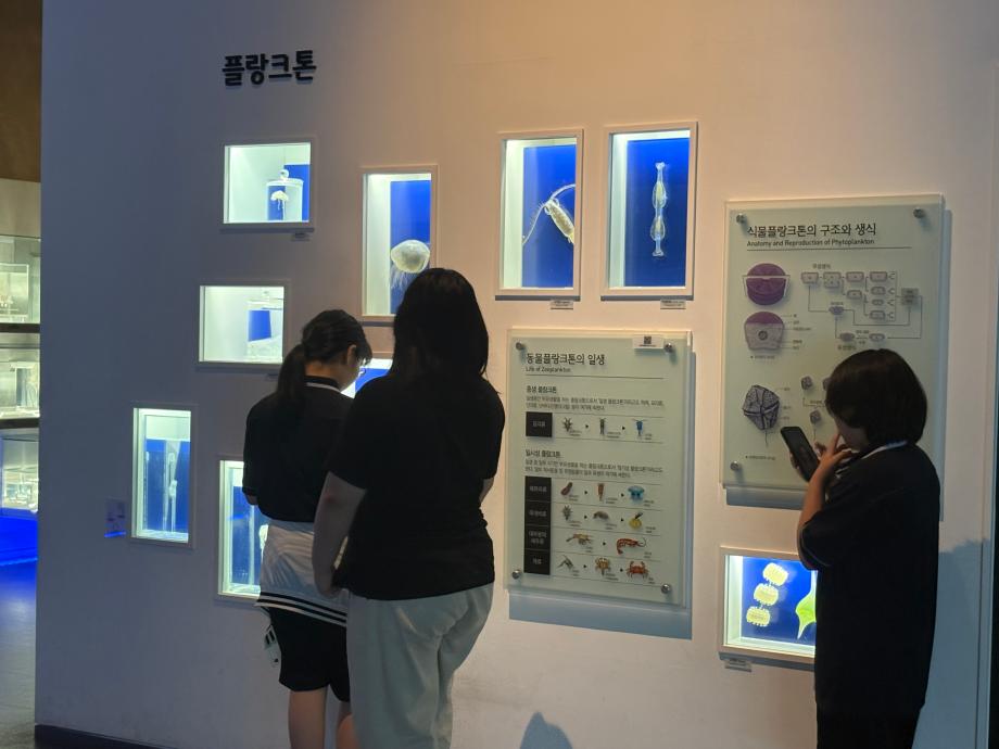 5월27일(수) 로스트 청웅중 이미지