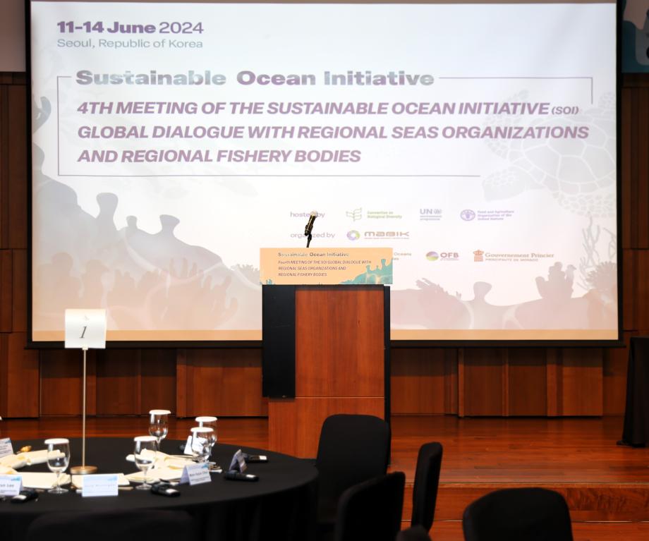 Fourth Meeting of the SOI Global Dialogue with Regional Seas Organizations and Regional Fishery Bodies 이미지