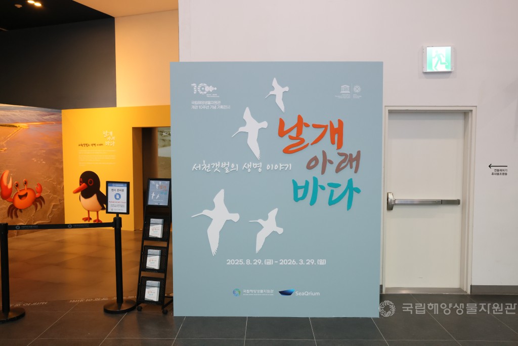 개관10주년기념 기획전시 서천갯벌의 생명이야기 '날개아래바다' 개막식