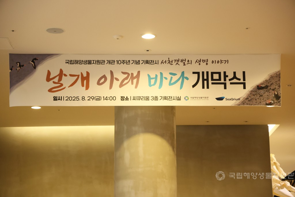 개관10주년기념 기획전시 서천갯벌의 생명이야기 '날개아래바다' 개막식