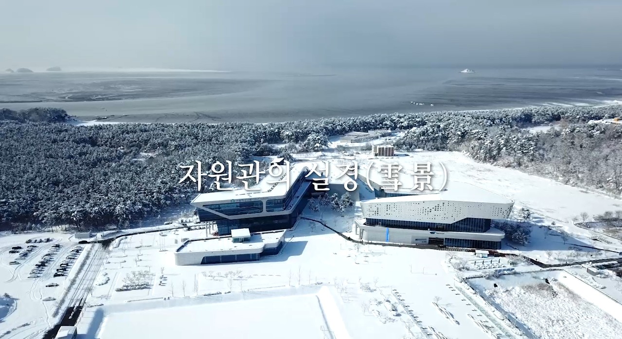 MABIK 자원관의 설경
