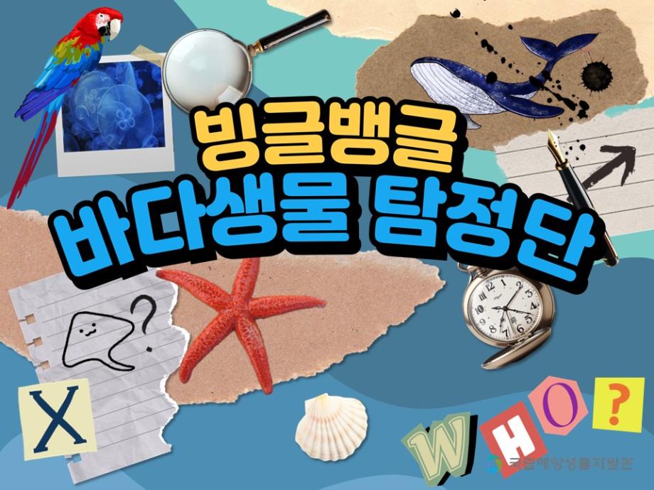 빙글뱅글 바다생물 탐정단