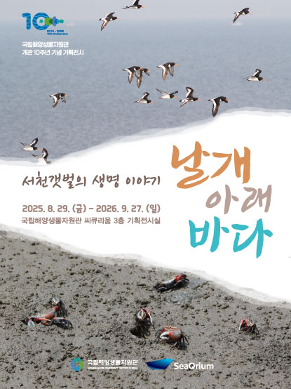 특별전 날개 아래 바다 전시 연장